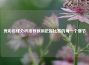 竞彩足球分析推荐预测把握比赛的每一个细节