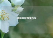 竞彩篮球购买热线