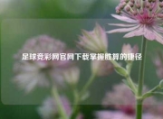 足球竞彩网官网下载掌握胜算的捷径
