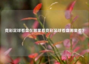 竞彩足球看盘在哪里看竞彩足球看盘哪里看？