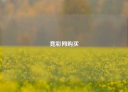 竞彩网购买