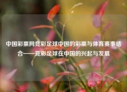 中国彩票网竞彩足球中国的彩票与体育赛事结合——竞彩足球在中国的兴起与发展