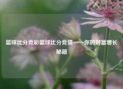 篮球比分竞彩篮球比分竞猜——你的财富增长秘籍