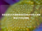 竞彩足球APP大神跟单竞彩足球APP中的大神跟单技巧与实战策略