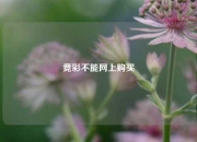 竞彩不能网上购买