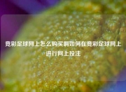 竞彩足球网上怎么购买啊如何在竞彩足球网上进行网上投注