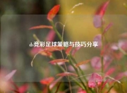 ds竞彩足球策略与技巧分享