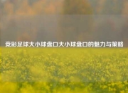 竞彩足球大小球盘口大小球盘口的魅力与策略