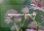 微博竞彩足球买不了为何买不了
