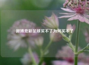 微博竞彩足球买不了为何买不了