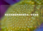 竞彩足球最新预测把握机会，享受激情