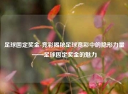 足球固定奖金-竞彩揭秘足球竞彩中的隐形力量——足球固定奖金的魅力