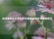 足球竞彩公众号你的专属数据分析与预测助手