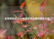 足球竞彩比分188揭秘足球比赛的胜负玄机