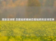 竞彩足球吧 百度贴吧揭秘百度贴吧的足球世界