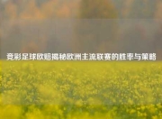 竞彩足球欧赔揭秘欧洲主流联赛的胜率与策略