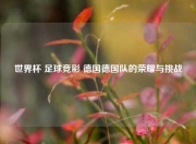 世界杯 足球竞彩 德国德国队的荣耀与挑战