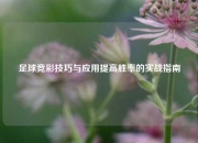 足球竞彩技巧与应用提高胜率的实战指南