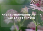 竞彩足球比分5竞彩足球比分预测与分析——深入解析五大联赛走势与胜负机率