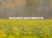 竞彩足球购买5选择与策略的平衡
