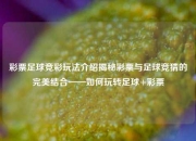 彩票足球竞彩玩法介绍揭秘彩票与足球竞猜的完美结合——如何玩转足球+彩票