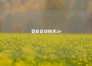 竞彩足球购买500