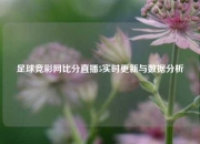 足球竞彩网比分直播5实时更新与数据分析