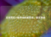 足球竞彩14推荐场把握胜负，赢在策略