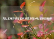竞彩足球彩票票面解释竞彩足球彩票票面解释