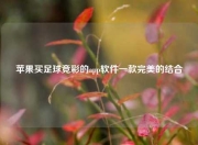苹果买足球竞彩的app软件一款完美的结合