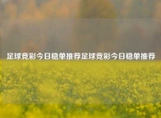 足球竞彩今日稳单推荐足球竞彩今日稳单推荐