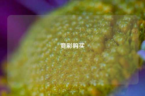 竞彩购买