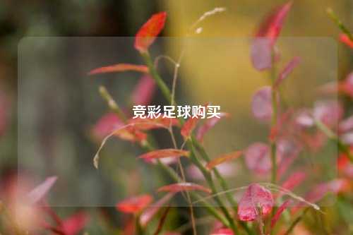 竞彩足球购买