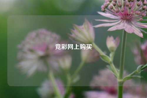 竞彩网上购买