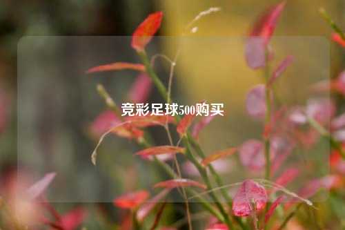 竞彩足球500购买