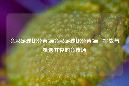 竞彩足球比分直500竞彩足球比分直500 - 挑战与机遇并存的竞技场