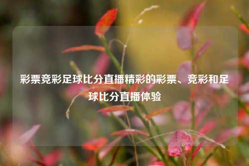彩票竞彩足球比分直播精彩的彩票、竞彩和足球比分直播体验