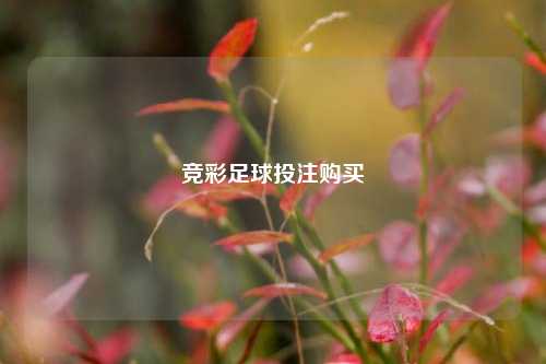 竞彩足球投注购买