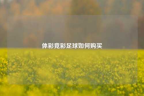 体彩竞彩足球如何购买