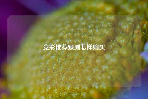 竞彩推荐预测怎样购买