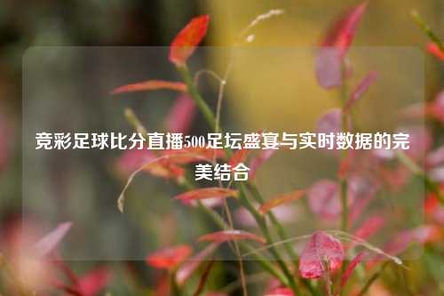 竞彩足球比分直播500足坛盛宴与实时数据的完美结合