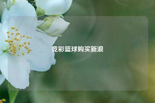 竞彩篮球购买新浪