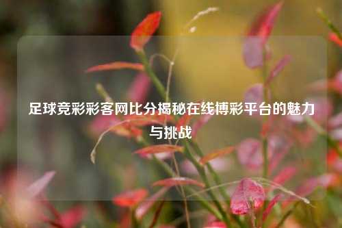 足球竞彩彩客网比分揭秘在线博彩平台的魅力与挑战