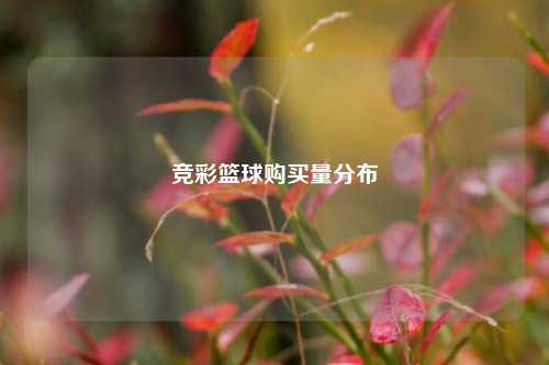 竞彩篮球购买量分布