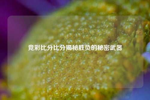竞彩比分比分揭秘胜负的秘密武器