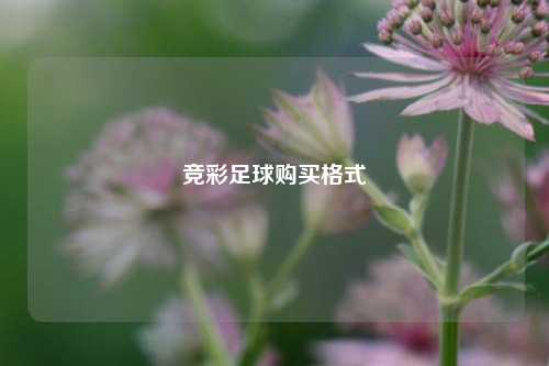 竞彩足球购买格式