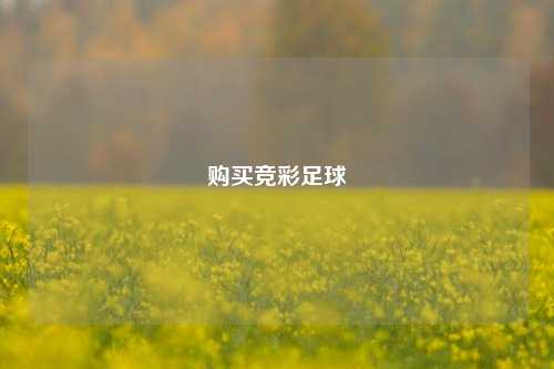 购买竞彩足球