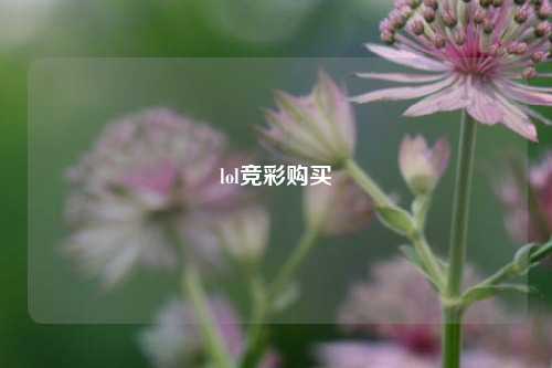 lol竞彩购买
