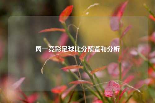 周一竞彩足球比分预览和分析