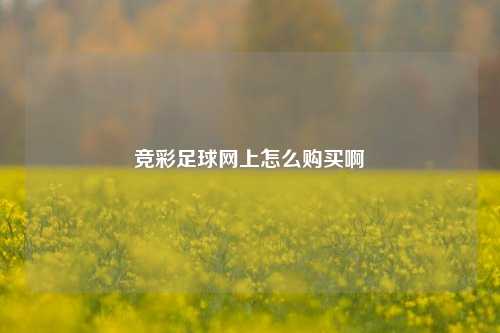 竞彩足球网上怎么购买啊